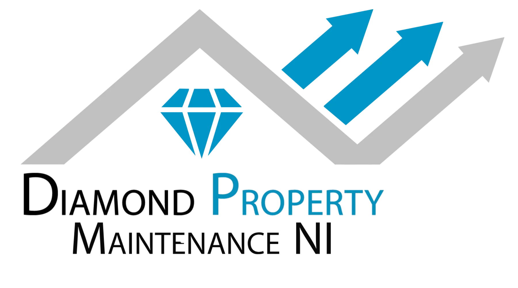 DPMNI Logo